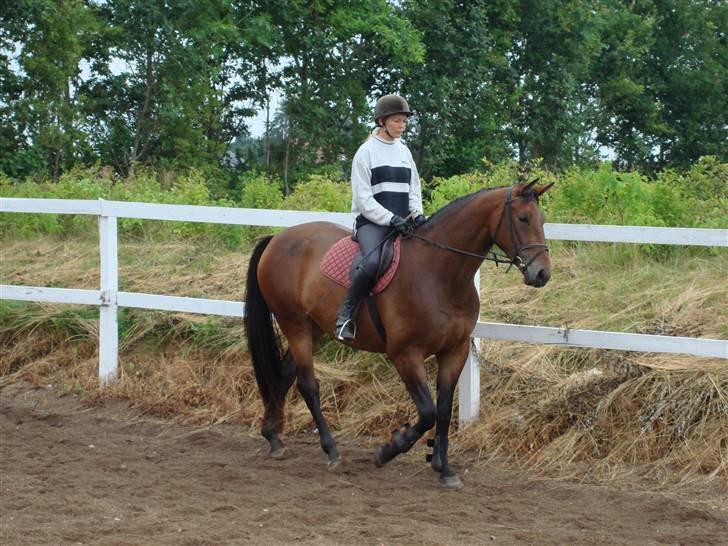Oldenborg Jackie - Gitte og Jackie billede 7