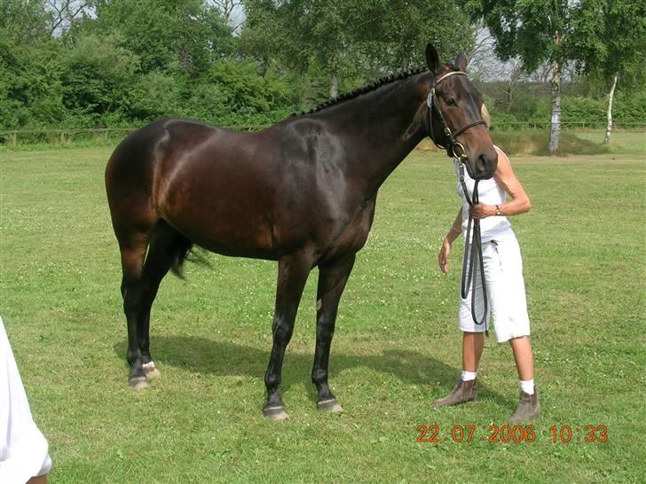 Oldenborg Urania - Kåring 2006 billede 2