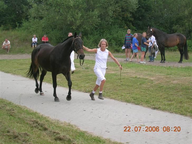 Oldenborg Urania - Kåring 2006 billede 3