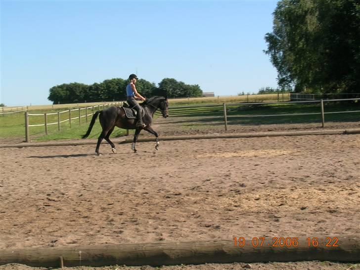 Oldenborg Urania - Tilridning i 2006  billede 4