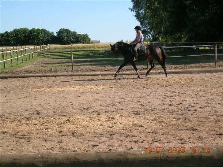 Oldenborg Urania - Tilridning i 2006 billede 5