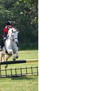 Connemara Hesteklewa Wedgewood