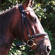 Anden særlig race R.I.P. My Soulmate Fitou