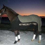 Anden særlig race R.I.P. My Soulmate Fitou