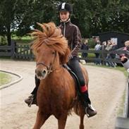 Islænder Ofeigur fra brokhøjgård