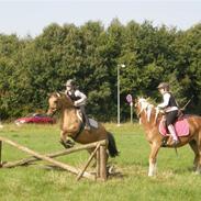 Anden særlig race Chess