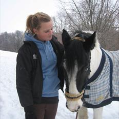 Irish Cob Athos [Tidl. part]