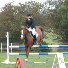 Anden særlig race Cherie