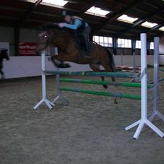 Anden særlig race Erik ;i <3