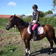 DSP Holstegaards Donna-Bell<3
