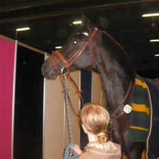 Holstener Pret A Porter (Pomfrit)