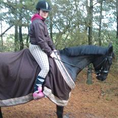 Anden særlig race Kordian gammel part