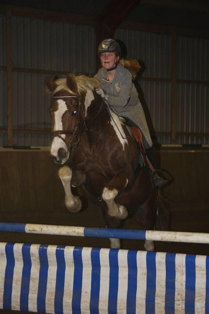 Pinto ZENIA  - Springtræning billede 13