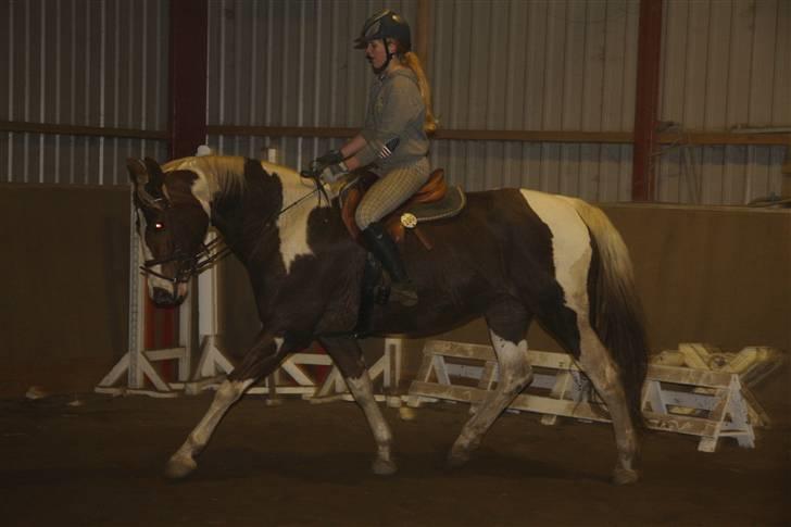 Pinto ZENIA  - Opvarmning billede 14