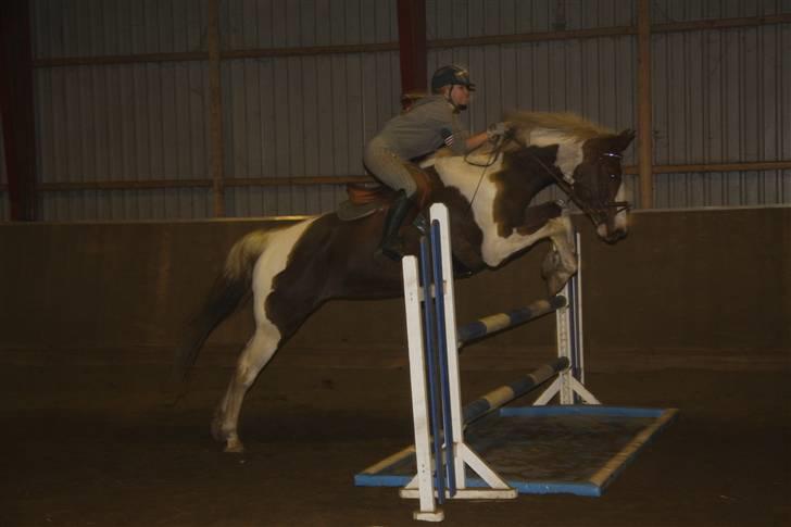 Pinto ZENIA  - træning billede 15