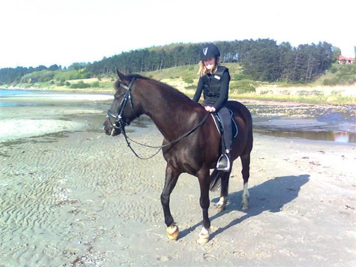 Anden særlig race Leika - Leika er flink til at soppe! :'D billede 7