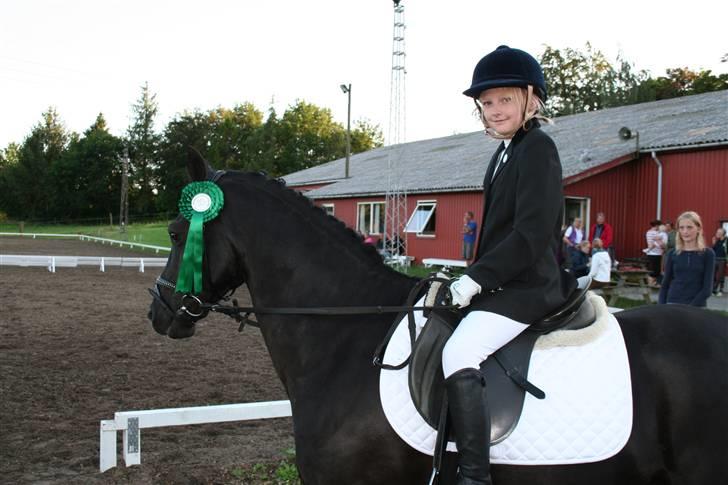 Anden særlig race Balou Sandokan - 4.plads i LD1 billede 6
