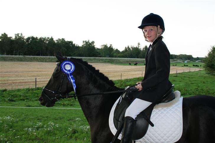 Anden særlig race Balou Sandokan - 2.plads i LD2 billede 8