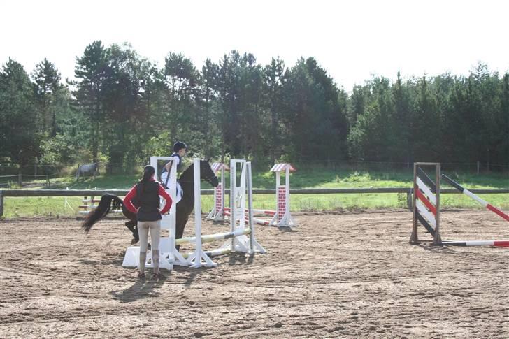 Anden særlig race Balou Sandokan - Baby Jump billede 9