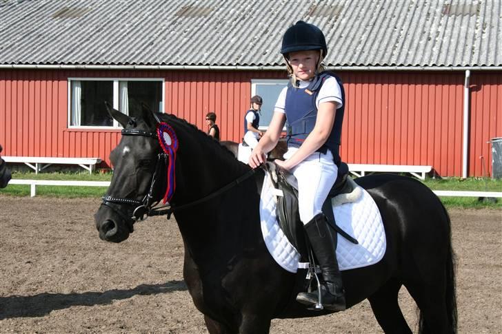 Anden særlig race Balou Sandokan - U-sløjfe billede 10