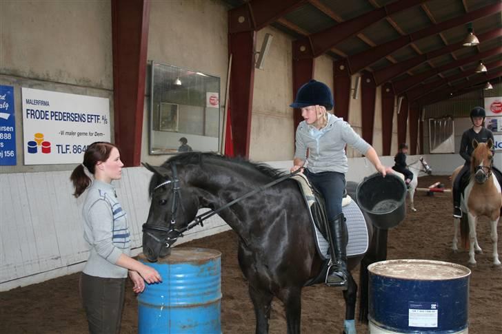 Anden særlig race Balou Sandokan - Pony games billede 16