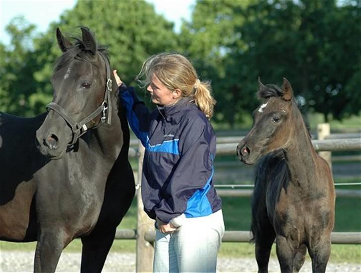 Arabisk fuldblod (OX) EH Ghazia - Mit yndlingsbillede: Ghazia og mig og Jana billede 1