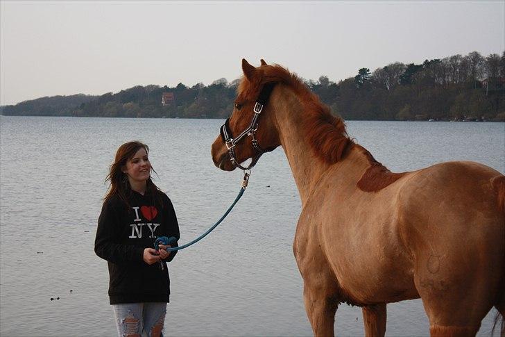 DSP Camilla Damgård SOLGT - 14# furesøen, millo i vand for første gang<3 billede 19