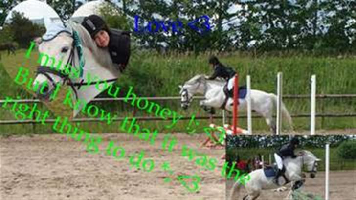 Connemara cantali *SOLGT:'( * billede 14