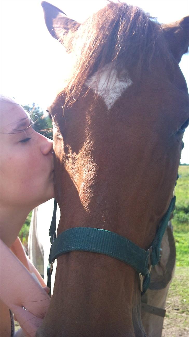 Fuldblod (XX) Ruder Dame (dullen) - pyyyyyyyyyyys ;-* ELsker dig mulle.. billede 5