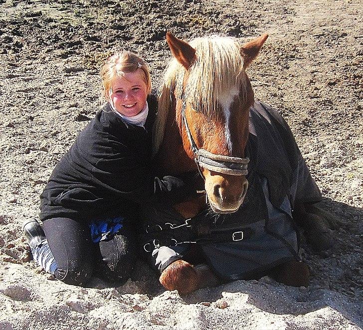 Haflinger jumber*Mit et og alt* - <3; You are My soulmate .. My Everything <3 Anywere you are i am near. Anywere you go i be there. Anytime you wispere my name, you see ... <3  billede 1
