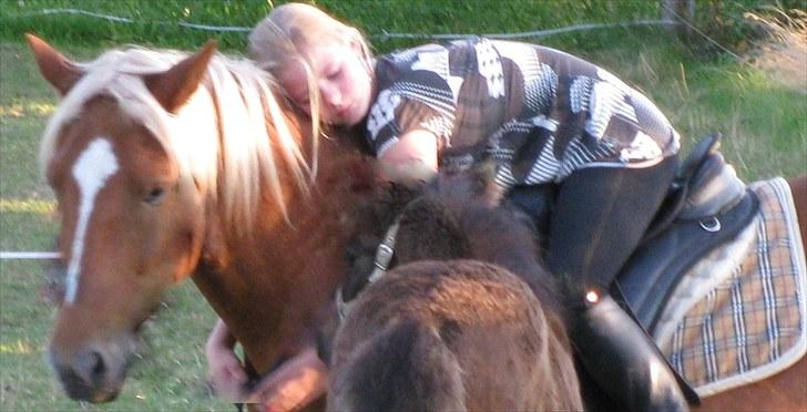 Haflinger jumber*Mit et og alt* - os to foraltid mindreng :D<3<3:foto:rasmus billede 6