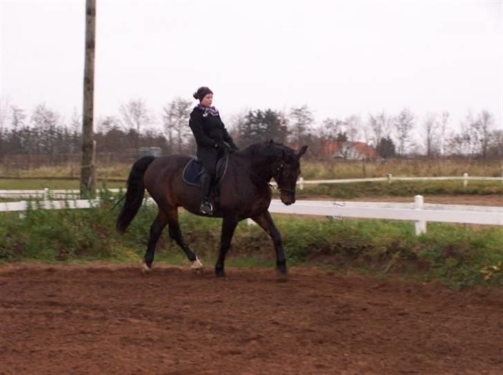 Oldenborg Buller - November 2009. Redet af mig(ejer) billede 13