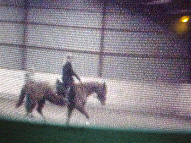 Frederiksborg magic star - se lige min mor til kursus med Astrid Gemal billede 14