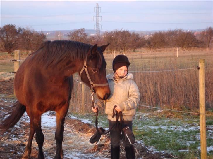 Traver Female Atracion billede 1