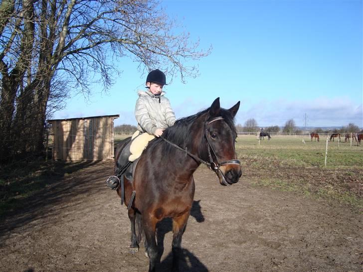 Traver Female Atracion billede 2