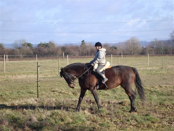 Traver Female Atracion billede 3