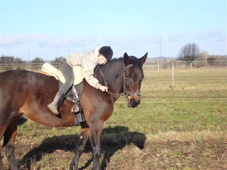 Traver Female Atracion billede 4