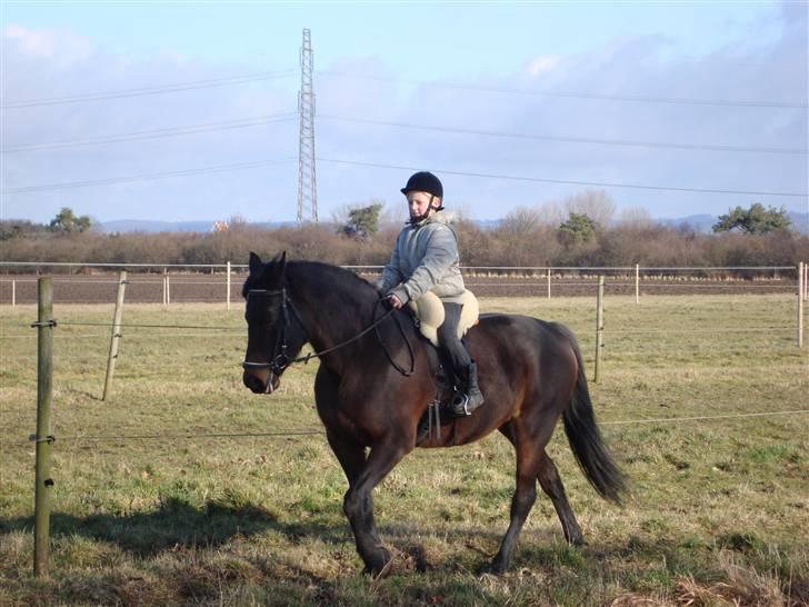 Traver Female Atracion billede 5