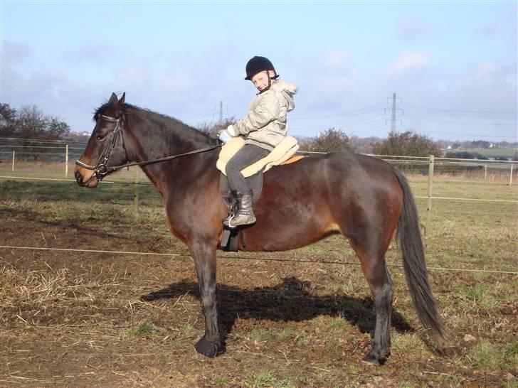 Traver Female Atracion billede 6