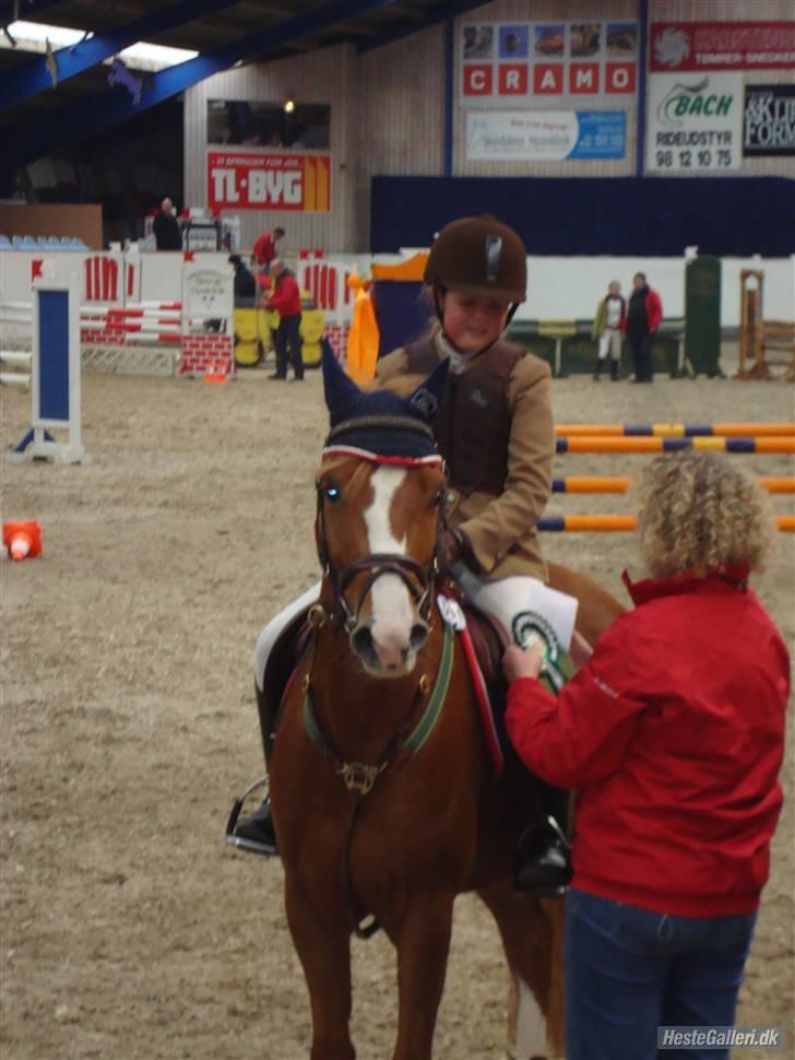 Hollandsk Sportspony Rocko<3A-PONY!!<3 - ROSET!! Foto Clara<3 billede 12