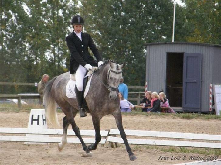 Anden særlig race Bastiansborgs Barney <3 billede 19