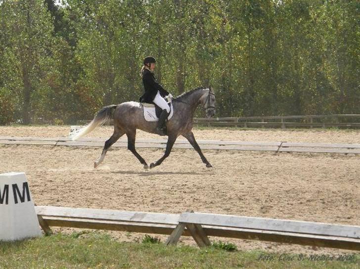 Anden særlig race Bastiansborgs Barney <3 billede 20