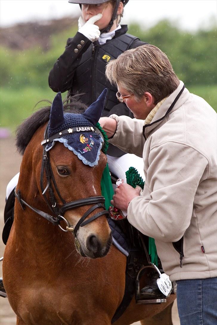 Anden særlig race Laban |*Mit ét og alt<3*| - Endu en præmie pony ;D 5 plads i SYK<3 foto ct.foto billede 14