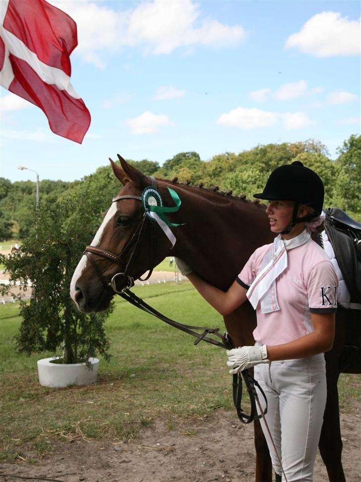 Dansk Varmblod Diala B-pony - vi fik en tredje plads i LA1 billede 5