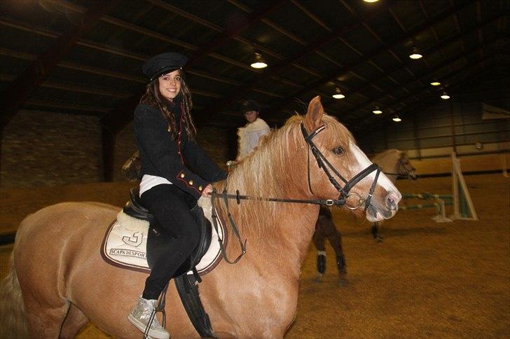 Anden særlig race Sally miin Prinsesse Y solgt - sally taget af Helene billede 10