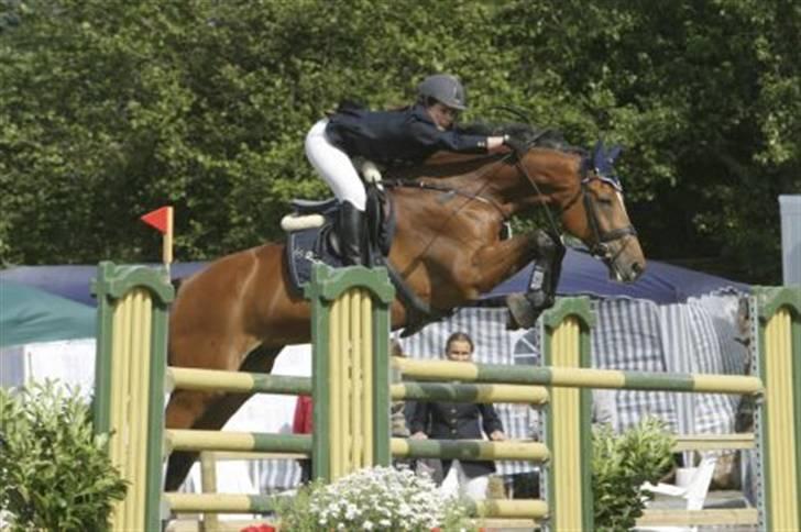 Dansk Varmblod Lirona RDH 3959 - MA til landsstævne i Baunehøj =) Super-Lirona!!!! billede 11