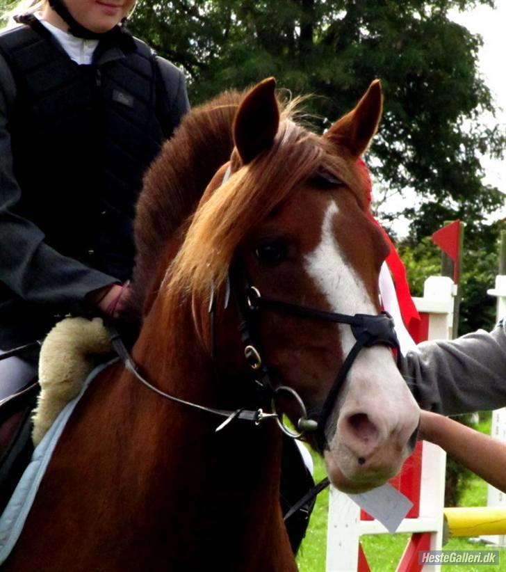 Anden særlig race AN-DRO - grr dam du hot! foto: Anna Johansen ;D billede 18