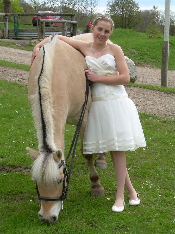 Fjordhest Rask Kongehøj R.I.P. - Konfirmation 2010 billede 11