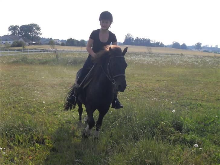 Anden særlig race Rollo <3 billede 15