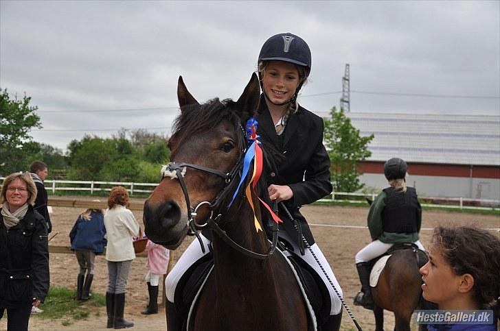 Anden særlig race Farmens Asterix - Med vores fine sløjfe ;) FHSR, Foto: RS-PHOTO (rebecca strøbæk) billede 16